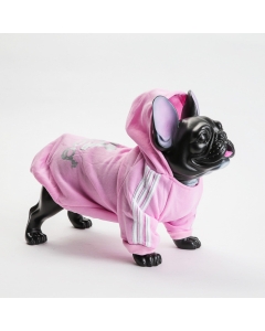 Adidog comfy hettegenser til hunden