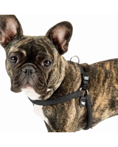 Ferplast Agila sport step-in hundesele - Svart