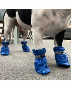 4pck vannavstøtende og  forede hundesokker / potesokker