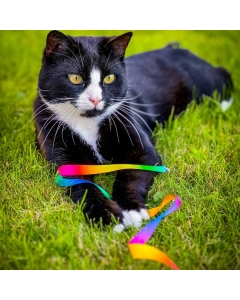 Katteleker | Viftepinne til Katt - Rainbow