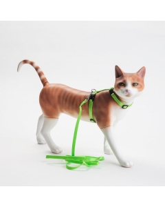 Kattesele med kobbel