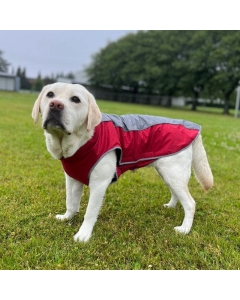 Vannavstøtende hundedekken