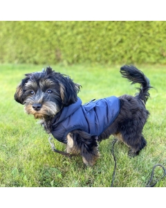 Varm hundevest med avtagbar hette