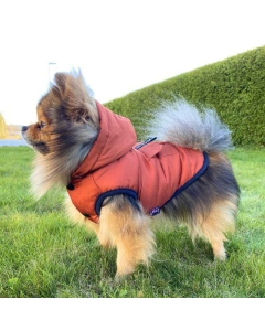 Varm hundevest med avtagbar hette