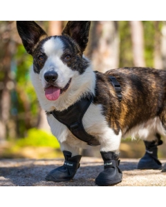 4 pack myke gummistøvler / potesokker til hund