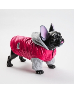 Hundejakke | hundedekken med hette