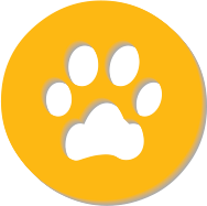 ➤ Tissematte for hund. Helt perfekt for valper som ikke er husrene og eldre hunder med inkontinens ➤ Kan også brukes som underlag i bur ved sykdom eller andre steder der man trenger noe som absorberer.