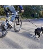 Springer hund, sykkelstang hund, sykkelfeste hund