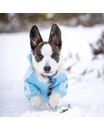 adidas hundegenser, hettegenser hund, adidog hundedekken, blå hundegenser med bein