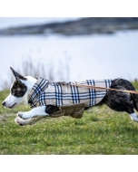 dekken hund, vendbart hundedekken, hundedekken med åpning til kobbel, hundejakke