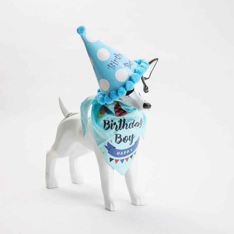 Product Image for Fødselsdagshatt og halstørkle til hund