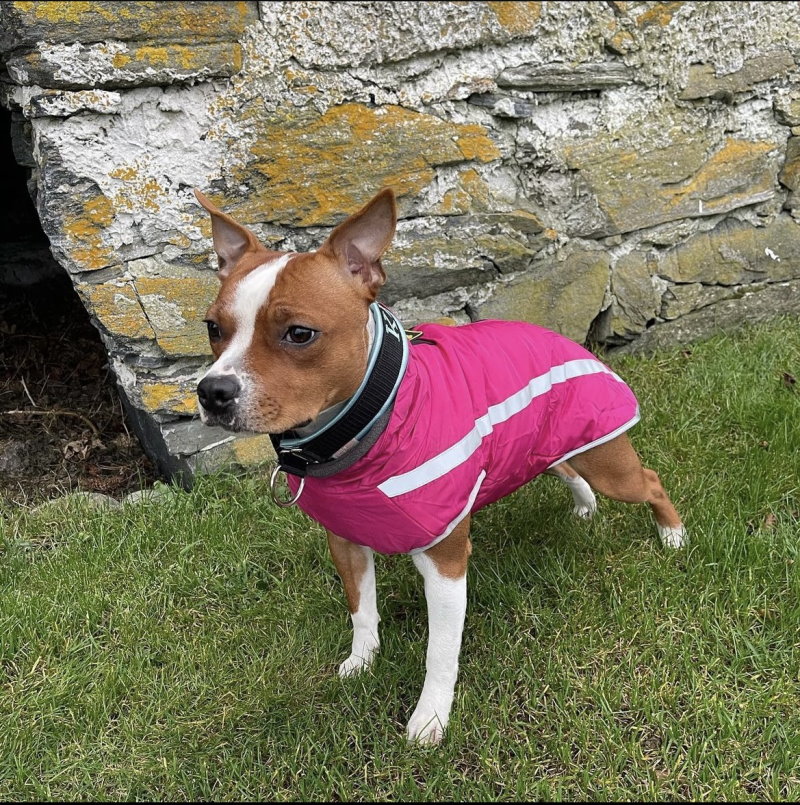 Product Image for Movapet hundedekken vinter | fleecefor | mange størrelser 