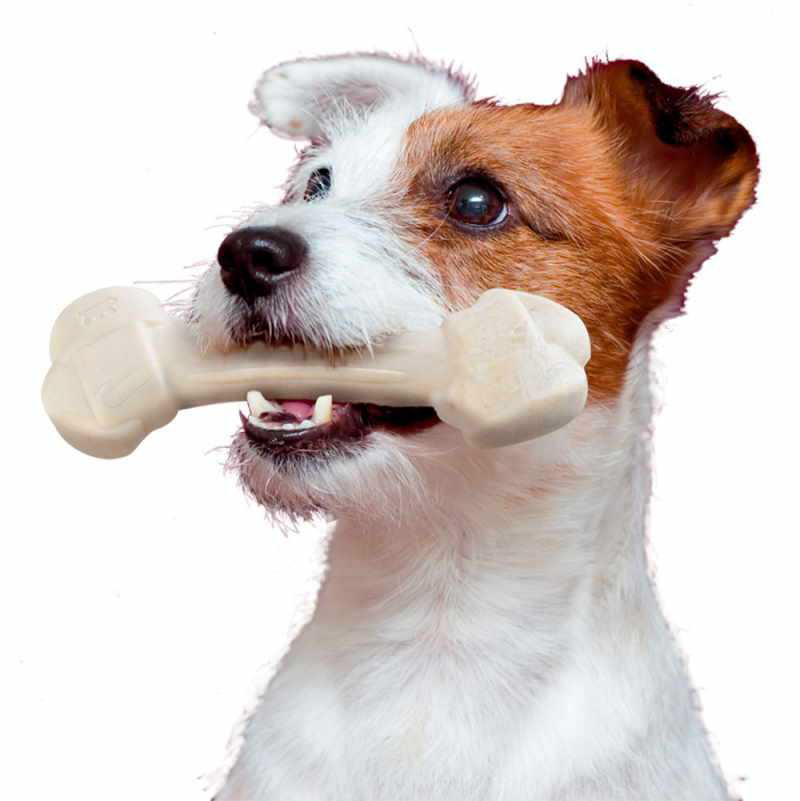Product Image for Ferplast Goodbite Natural Chicken XL tyggebein hund 20,5cm / 250g