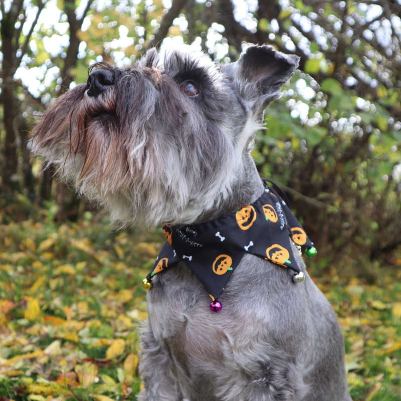 Product Image for Halloween Bandana med bjeller - Svart