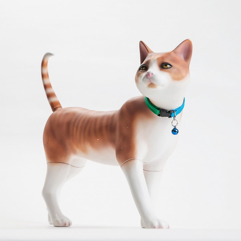 Product Image for Halsbånd med bjelle til katt - Hankattfarger