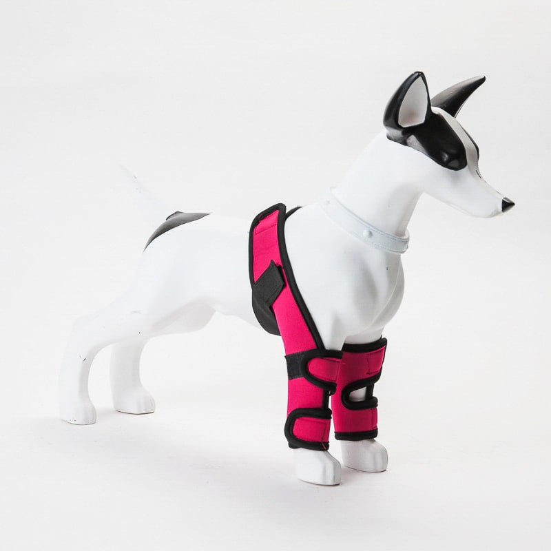 Product Image for Handicap ben og knestøtte for hunder - Rød