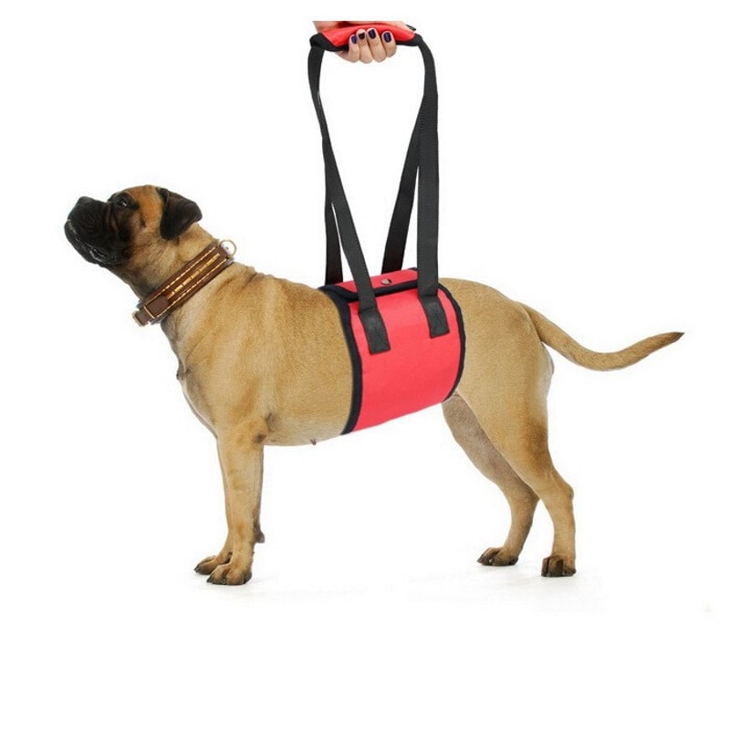 Product Image for bæresele til hund, løftesupport
