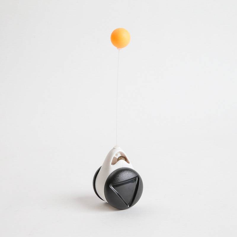 Product Image for Interaktiv svingende katteleke med kattemynte