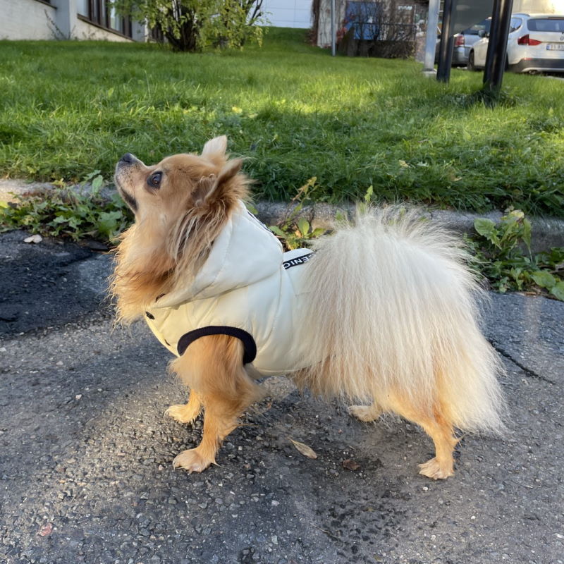 Product Image for Varm hundevest med avtagbar hette