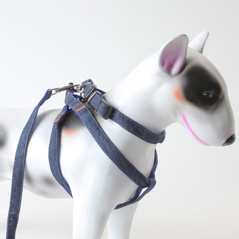 Product Image for Jeans selesett med kobbel sele halsbånd 