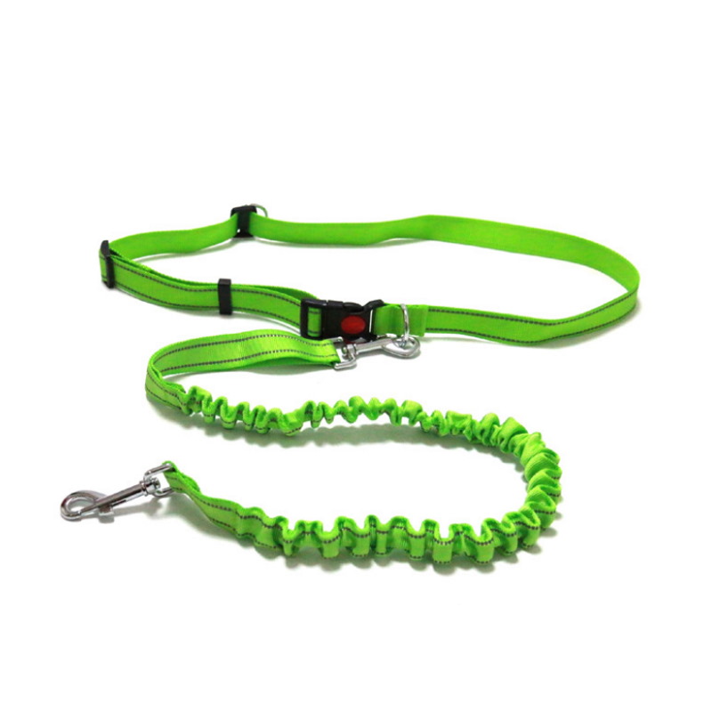 Product Image for Magebelte hund | løpebelte elastisk 80-140cm | klikklås