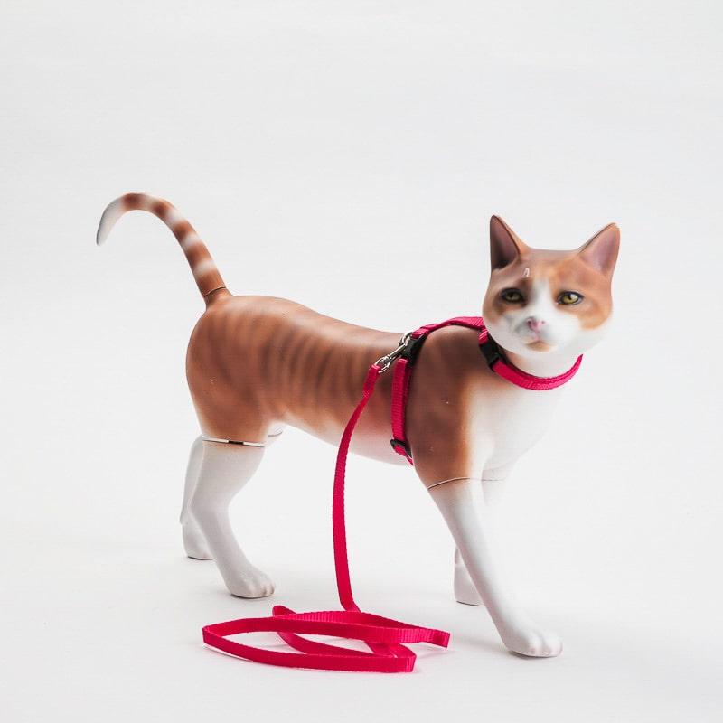 Product Image for Kattesele med leiebånd