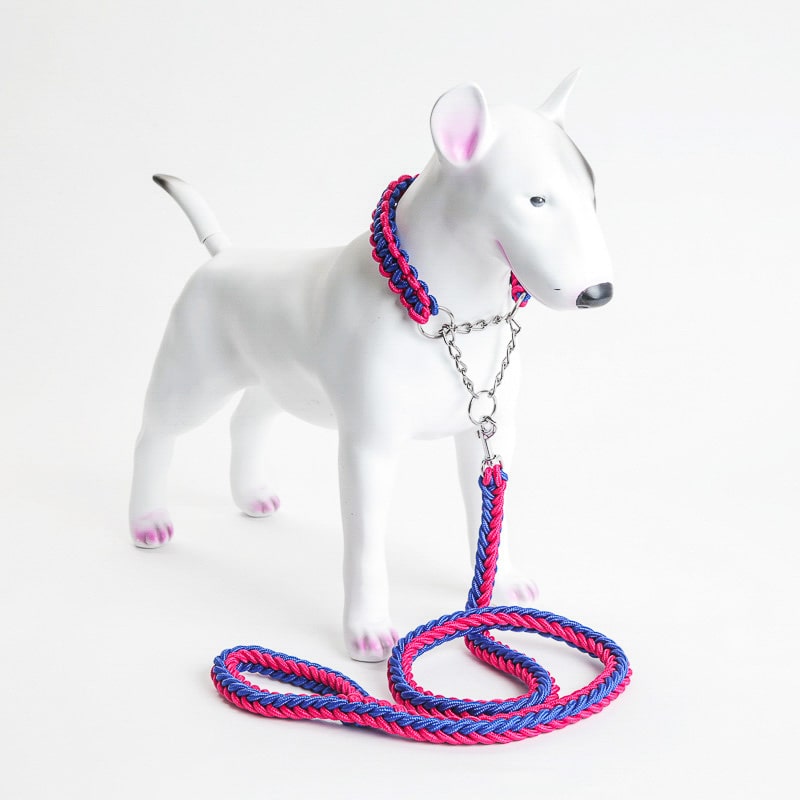 Product Image for Kobbel og halvstrup halsbånd