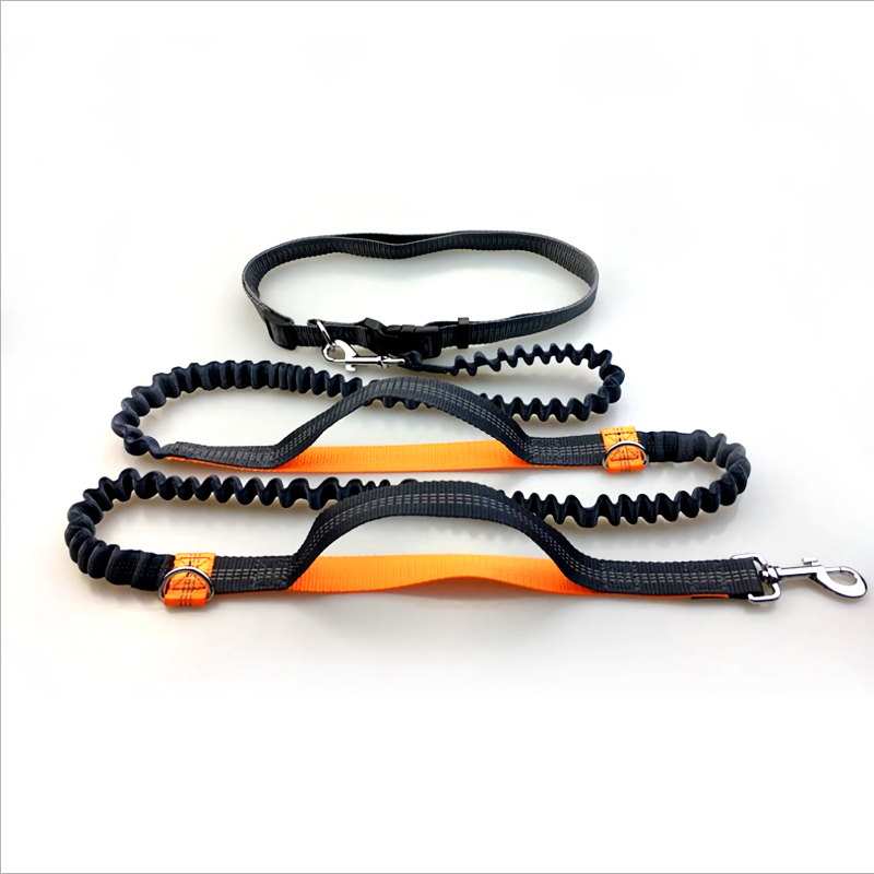 Product Image for Elastisk magebelte til hund med  to håndgrep