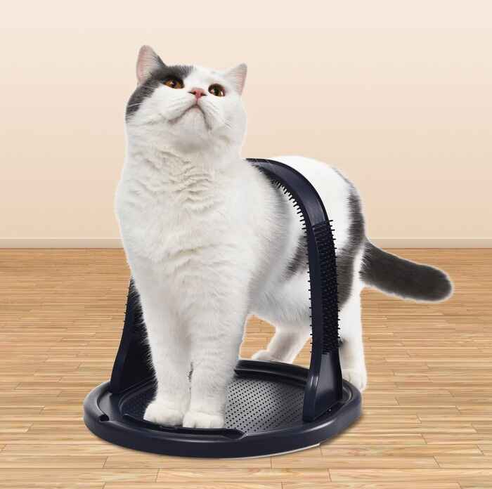 Product Image for Cat scratcher tunnell