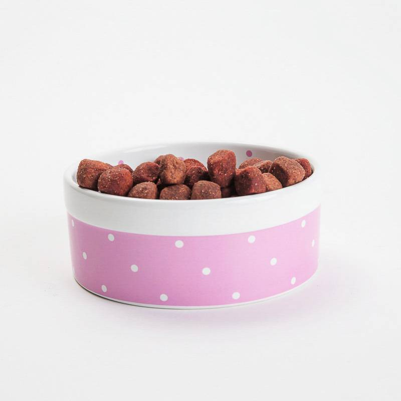 Product Image for Mat og drikkeskål til hund og katt 15,5cm