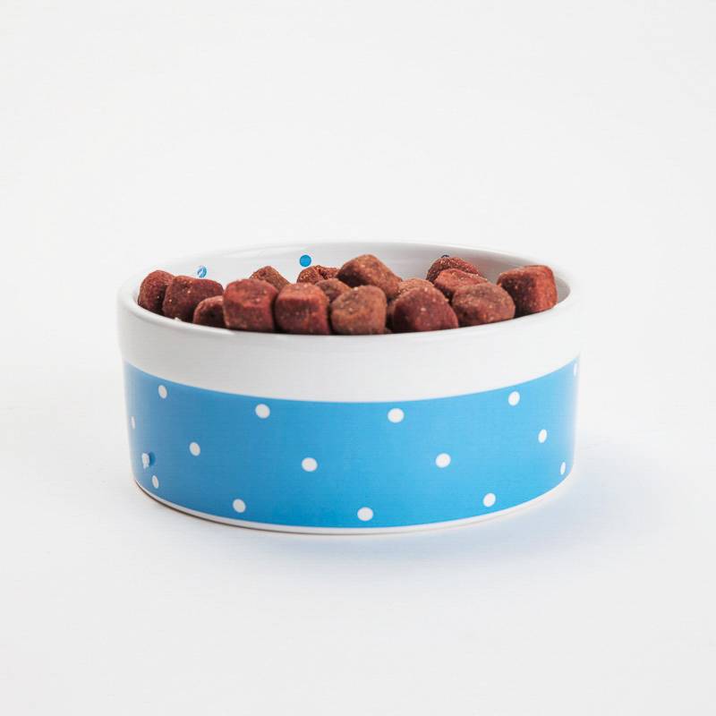 Product Image for Mat og drikkeskål til hund og katt 15,5cm