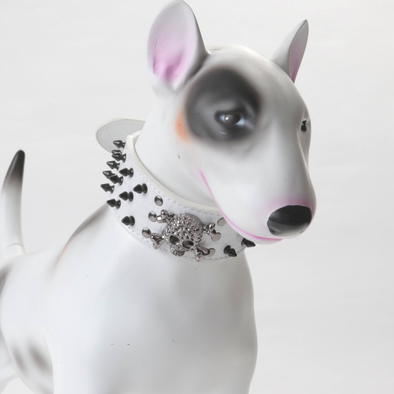 Product Image for Nagle og hodeskalle halsbånd til hund