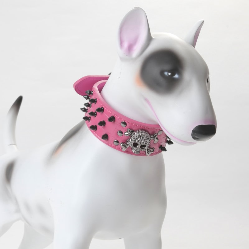 Product Image for Nagle og hodeskalle halsbånd til hund 