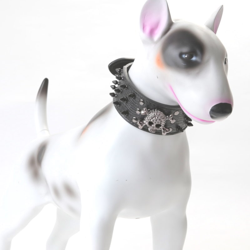 Product Image for Nagle og hodeskalle halsbånd til hund