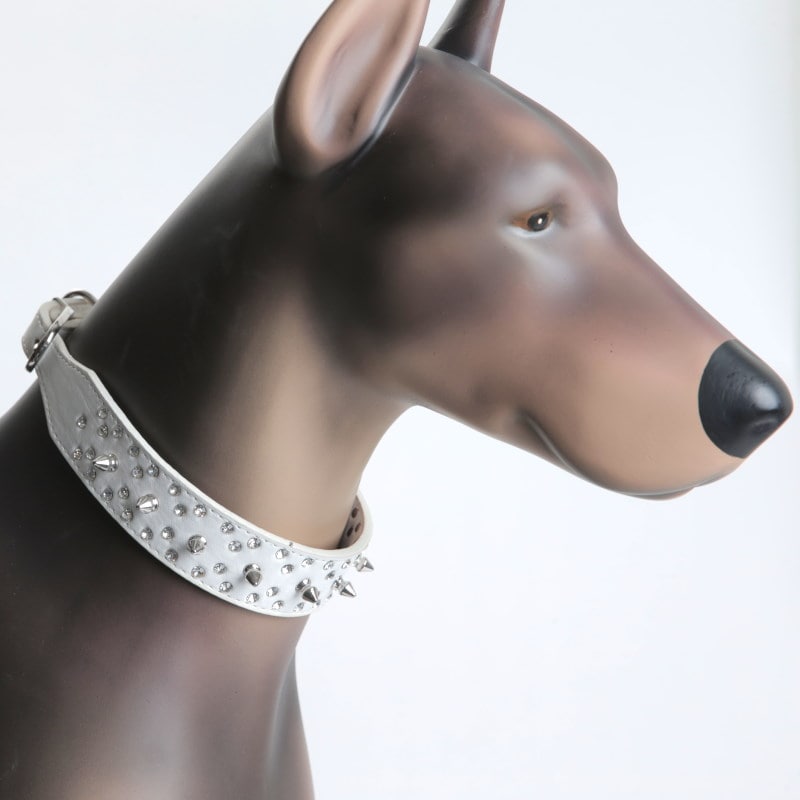 Product Image for Naglehalsbånd til hund
