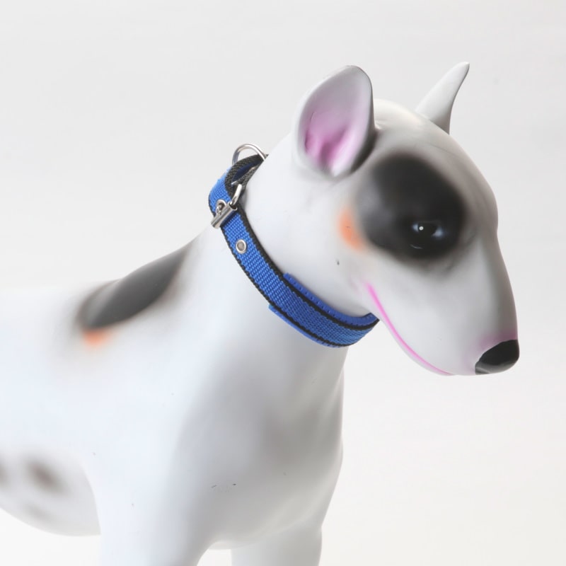 Product Image for Halsbånd hund | Polstret Hundehalsband | blå/Svart
