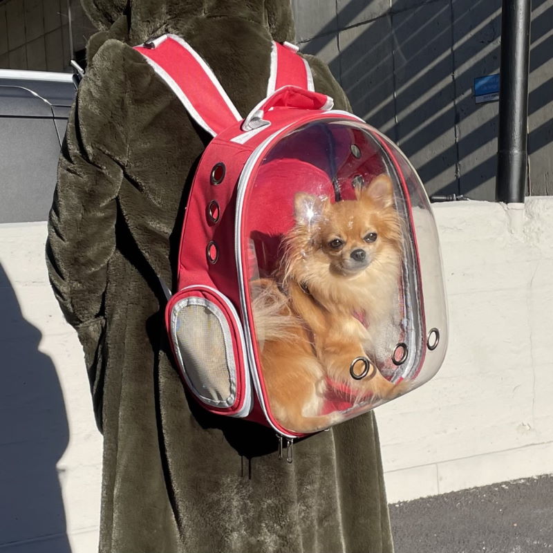 Product Image for Movapet Panorama reiseveske til hund og katt 