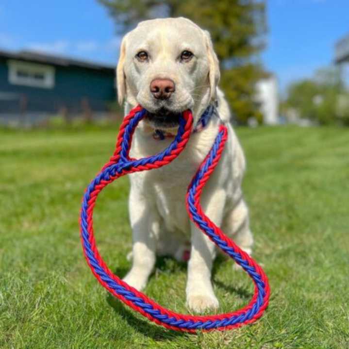 Product Image for Solid kobbel / leiebånd i vevet nylon