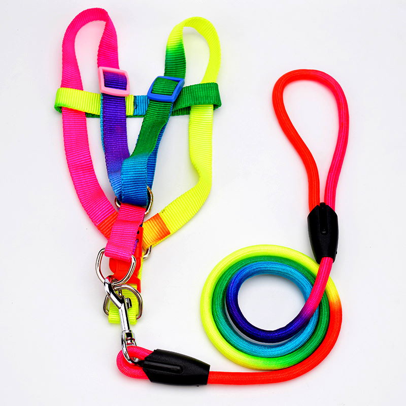 Product Image for Rainbow sett: Sele og leiebånd i flere størrelser - Rosa/Gul