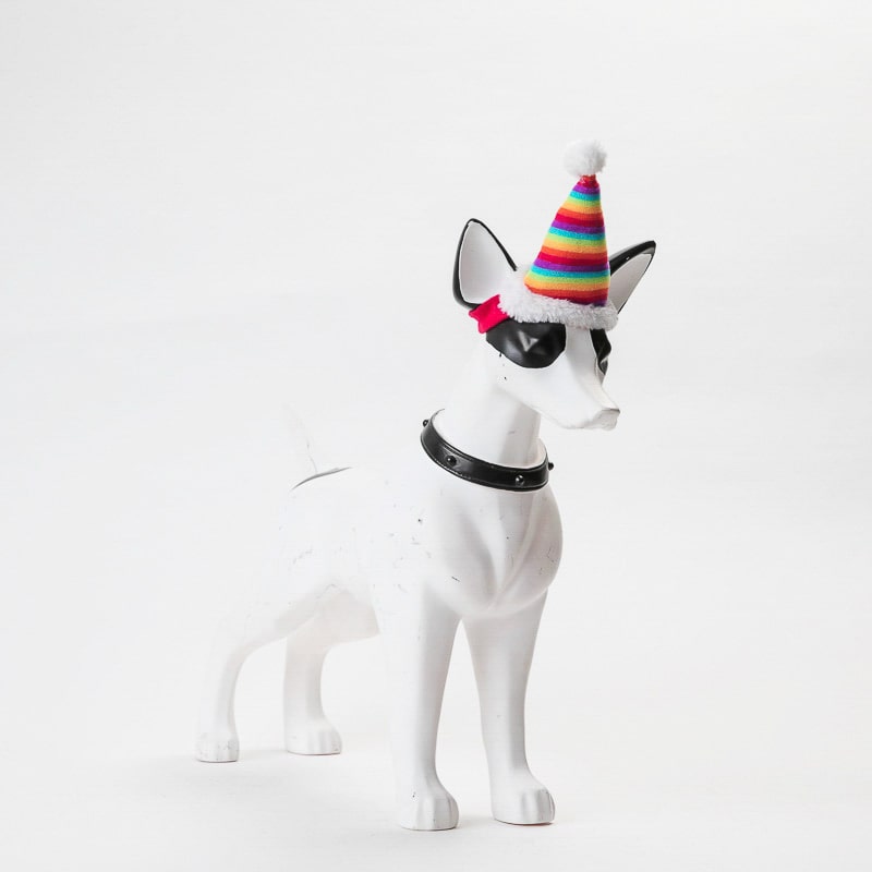Product Image for Regnbuehatt til katter og små hunder