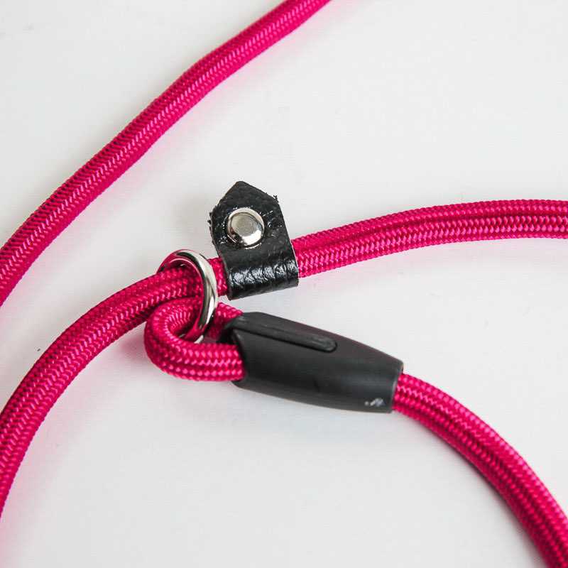 Product Image for Retrieverkobbel | retrieverbånd | dressurhalsbånd