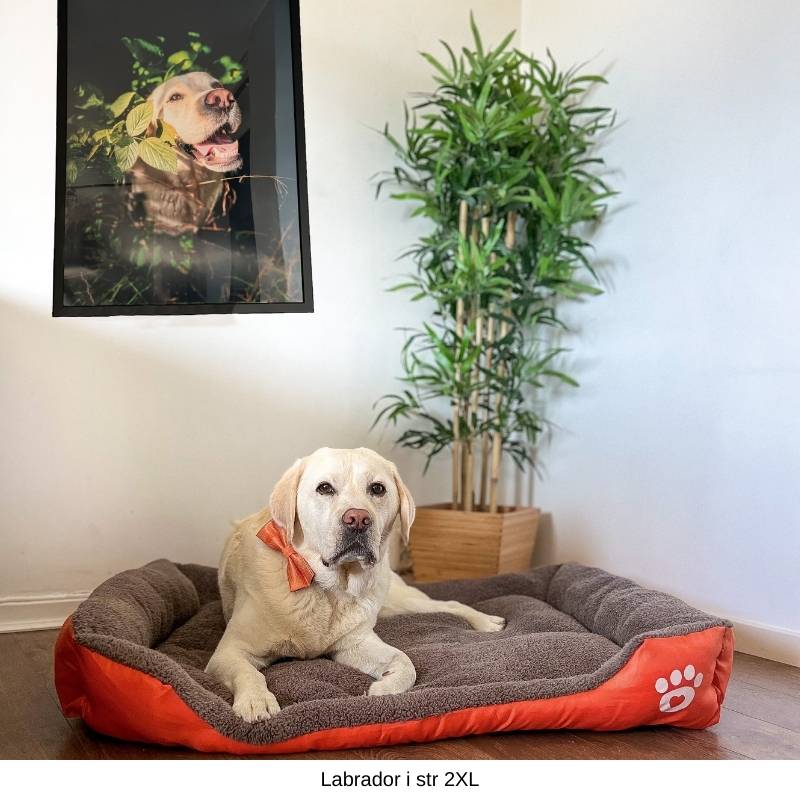 Product Image for Katteseng og hundeseng i 6 str. perfekt som burmadrass