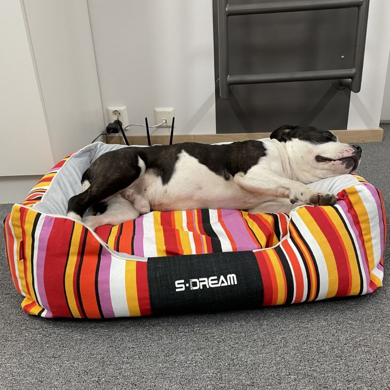 Product Image for S-Dream katteseng og hundeseng med  kosepute i 3 str.