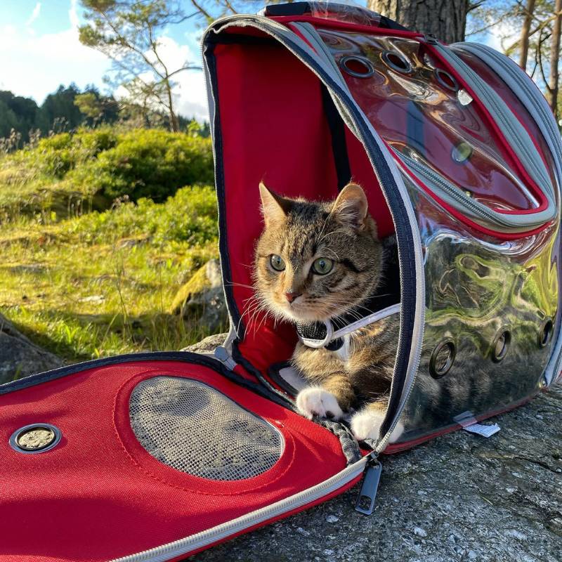 Product Image for Reisesekk til hund og katt 42cm