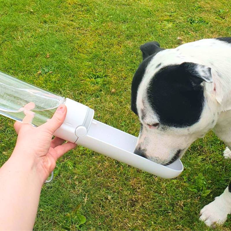 Product Image for Movapet smart vannflaske med drikkeskål 420ml