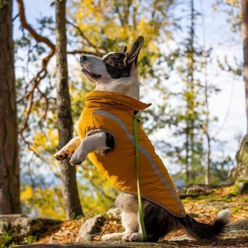 Product Image for Movapet hundedekken vinter | fleecefor | mange størrelser - bomull