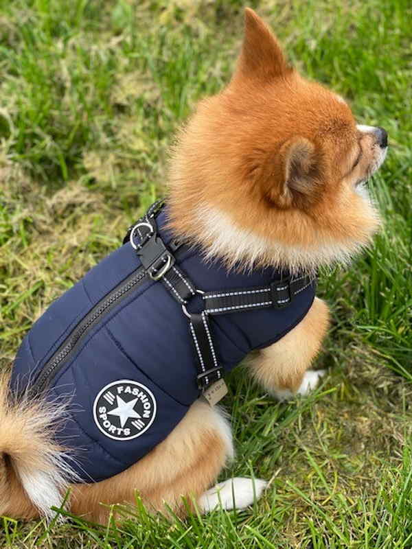 Product Image for Varmt dekken med sele til Hund