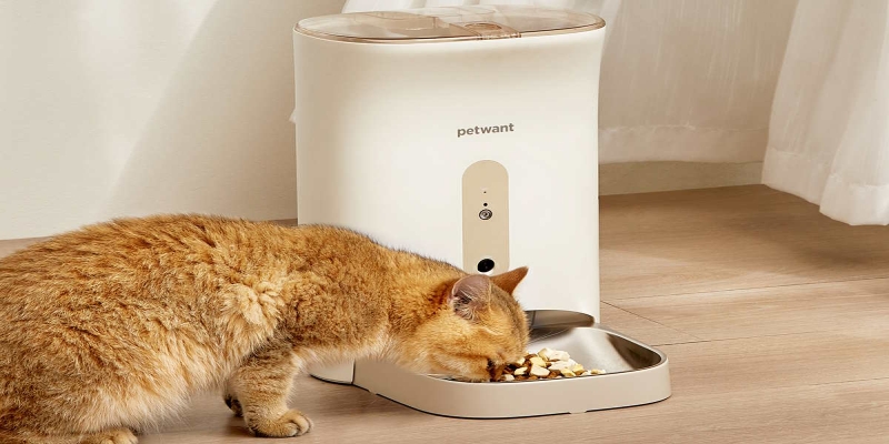 Hvilken pet feeder fôrautomat til hund og katt bør du velge? 