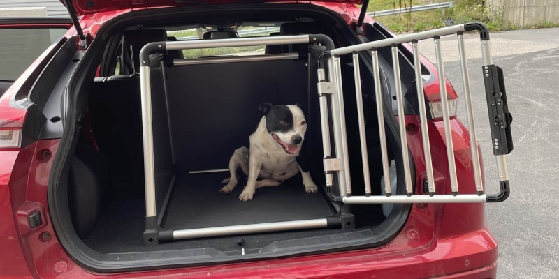 Guide til hvordan du skal velge riktig bilbur til hund