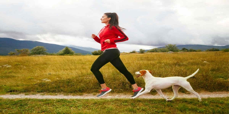 Sykle eller løpe med hund? Her er de beste tipsene